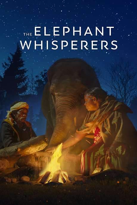 The Elephant Whisperers